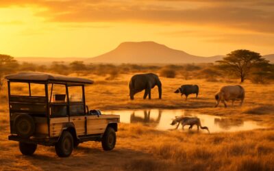 Explore big five safari cape town: your ultimate urban wildlife adventure.