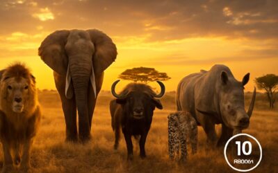 Boost your strategy with big five 10 items: a fast, must-read guide.