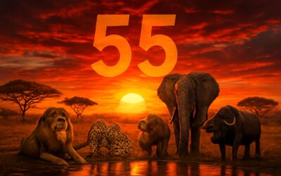 Exploring the big five 55: A Bold Guide to Power, Potential, and Prestige.