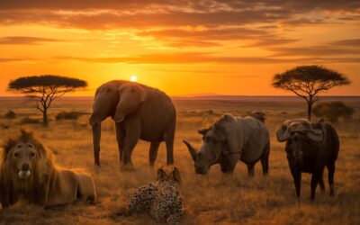 big five in zulu: A catchy guide to Africa’s iconic wildlife
